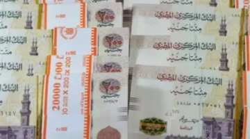 لماذا يفضل المستثمرون شهادات الادخار في ظل تذبذب أسعار الذهب المتواصل؟